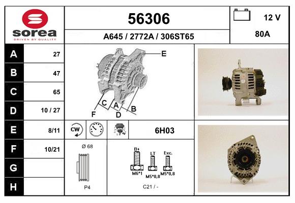 56306