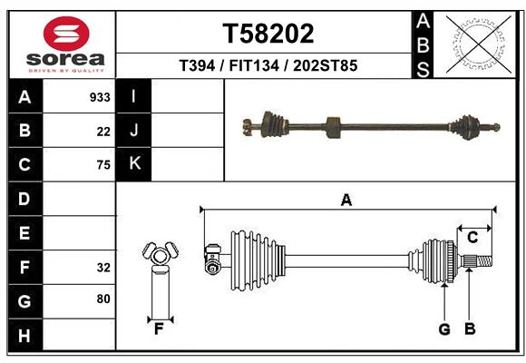 T58202