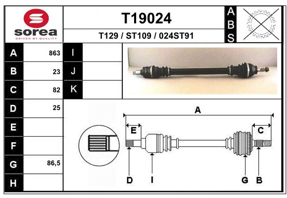 T19024
