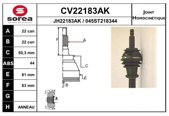 CV22183AK