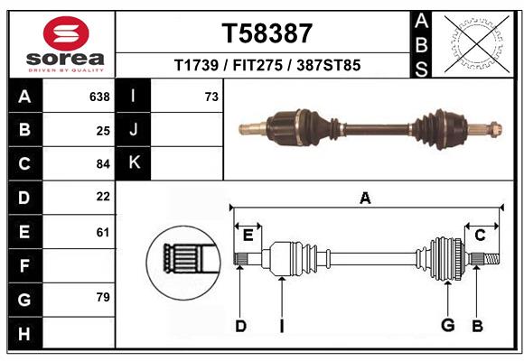 T58387