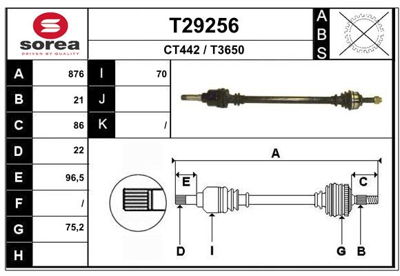 T29256
