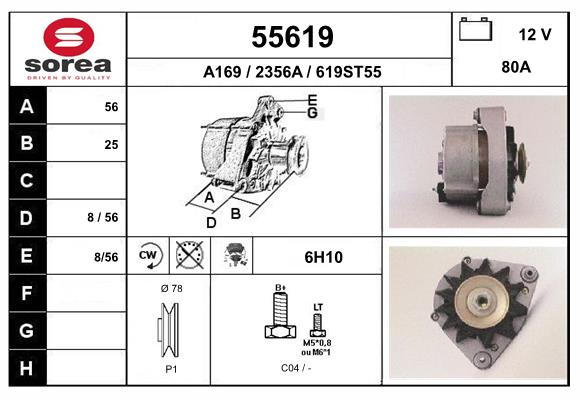 55619