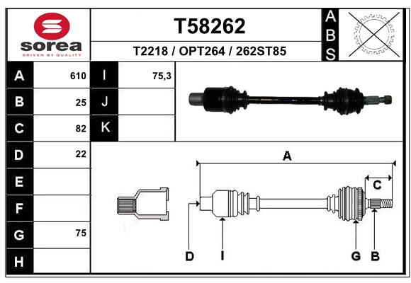 T58262