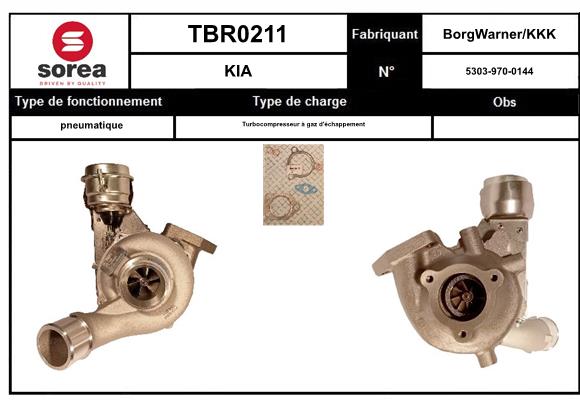 TBR0211