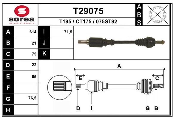 T29075