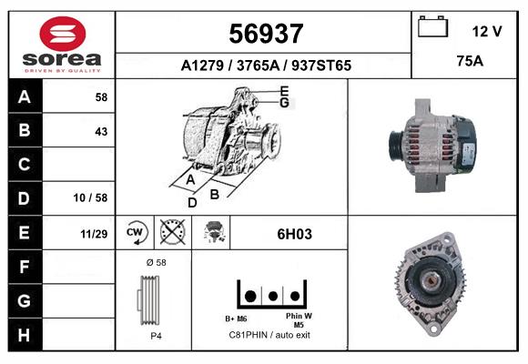 56937