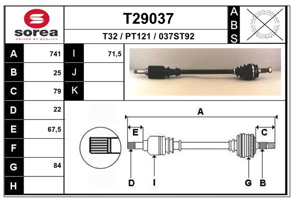 T29037