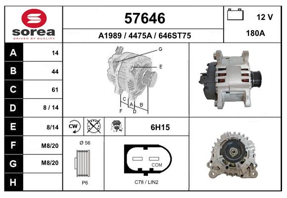 57646