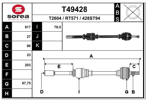 T49428