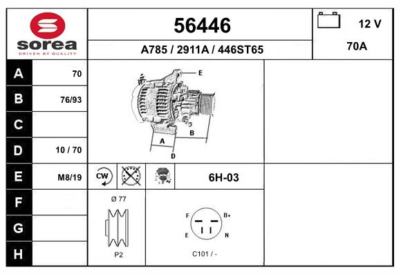 56446