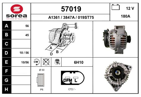 57019