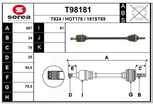 T98181