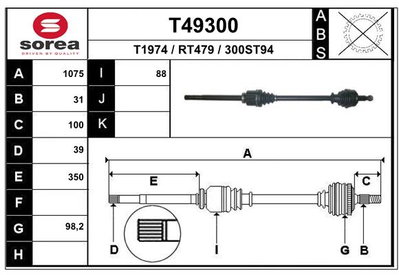 T49300