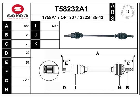 T58232A1