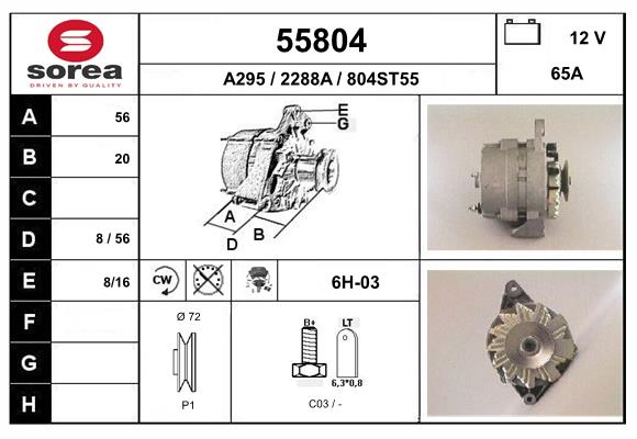 55804