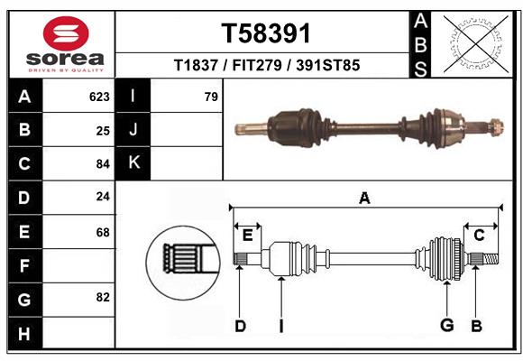 T58391