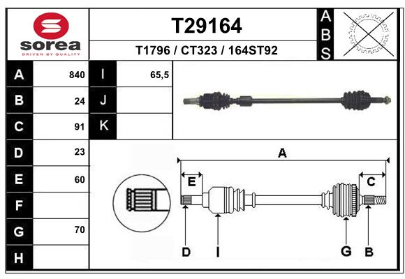 T29164