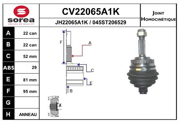 CV22065A1K