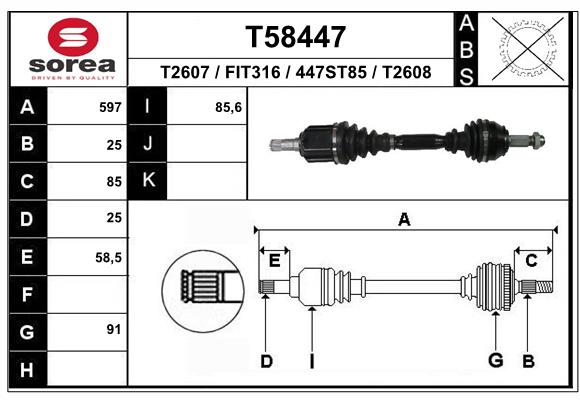 T58447
