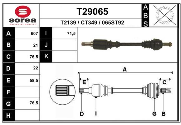 T29065