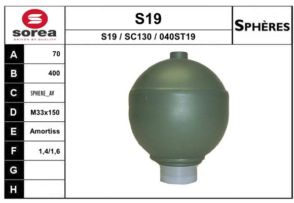 S19