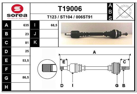 T19006