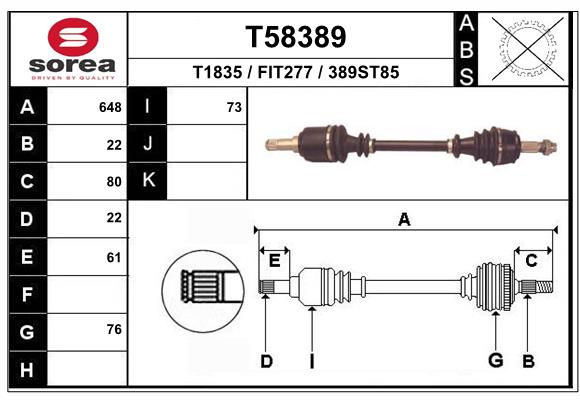 T58389