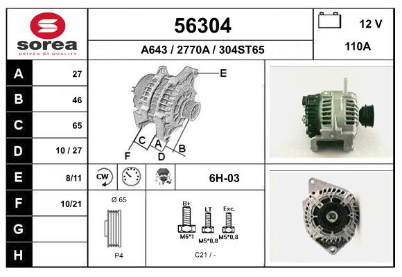 56304