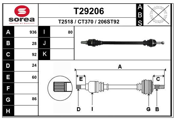 T29206