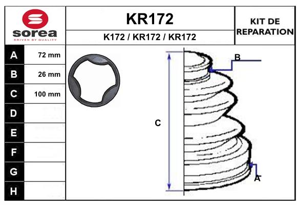 KR172