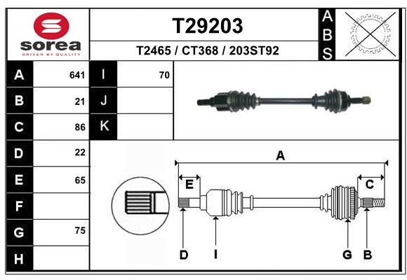 T29203