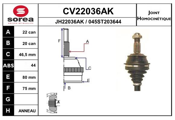 CV22036AK