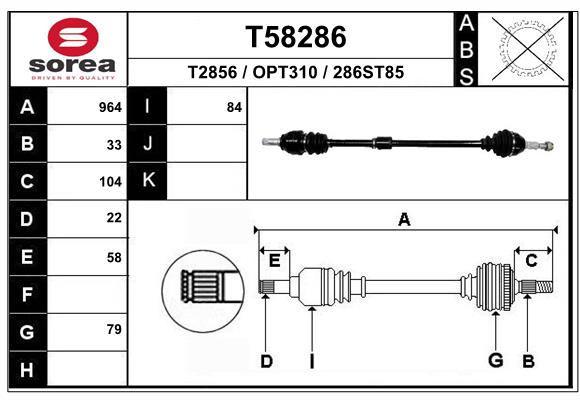 T58286