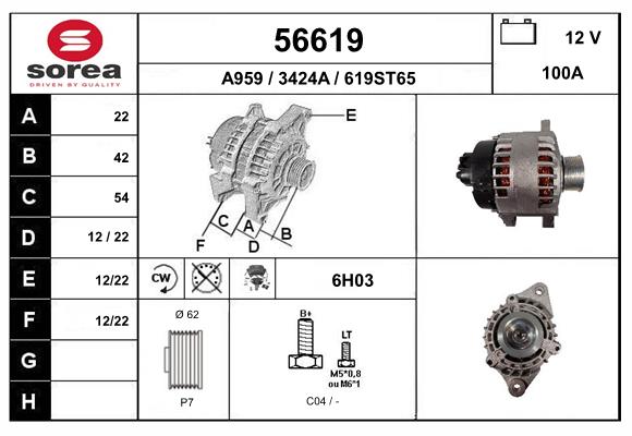 56619