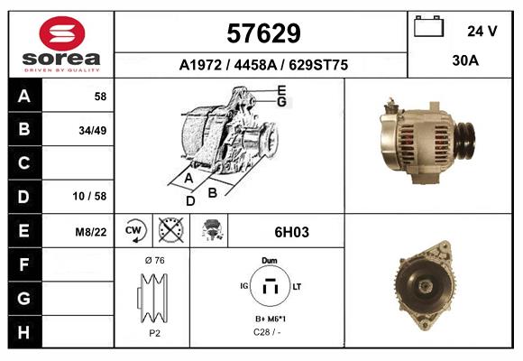 57629