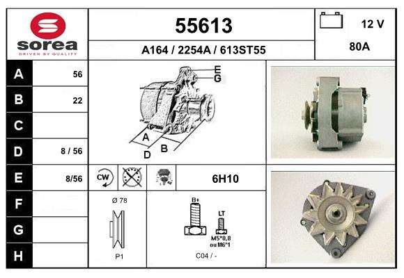 55613