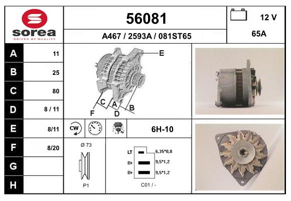 56081