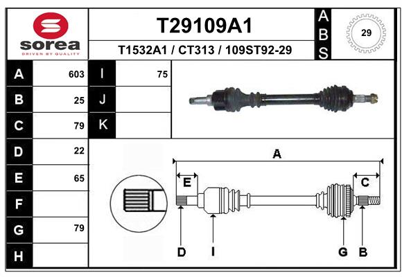 T29109A1