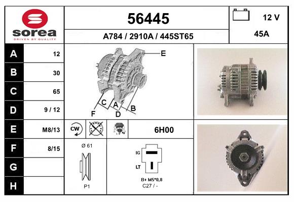 56445