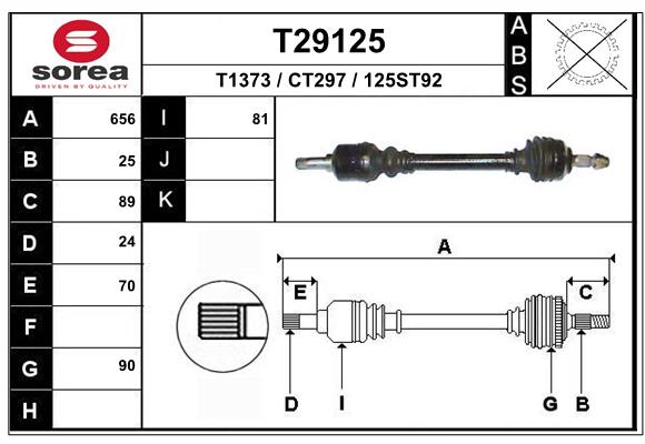 T29125