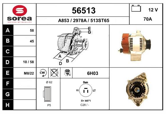 56513