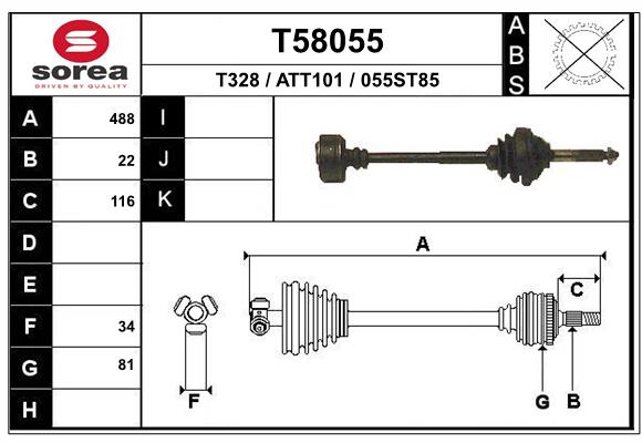 T58055