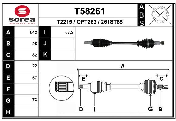 T58261