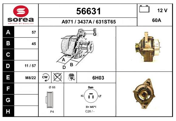 56631