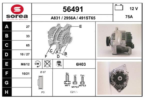 56491