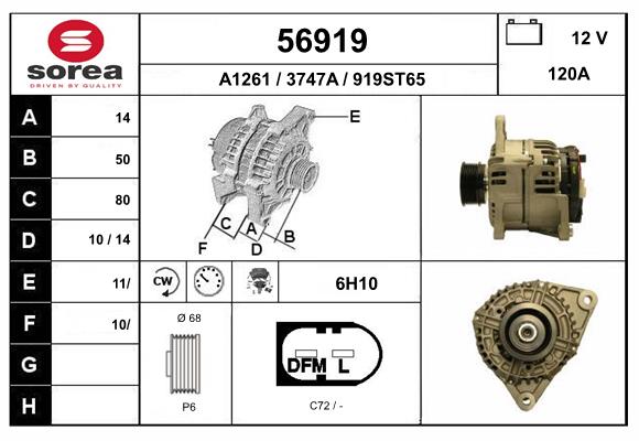 56919