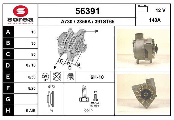 56391