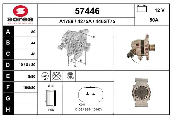 57446