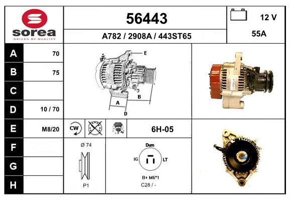 56443
